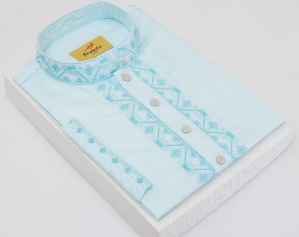 French Pass Color Embroidered Cotton Solid Punjabi
